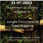Jungle excursion and Tree Hugging